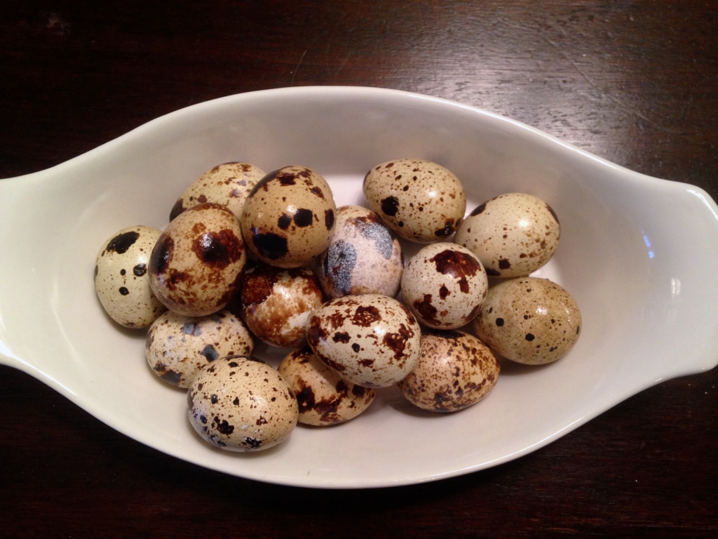 Hard Boiled Quail Eggs