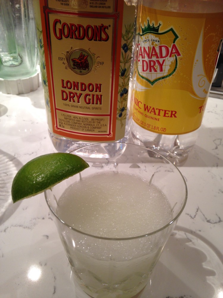 Frozen Gin & Tonic