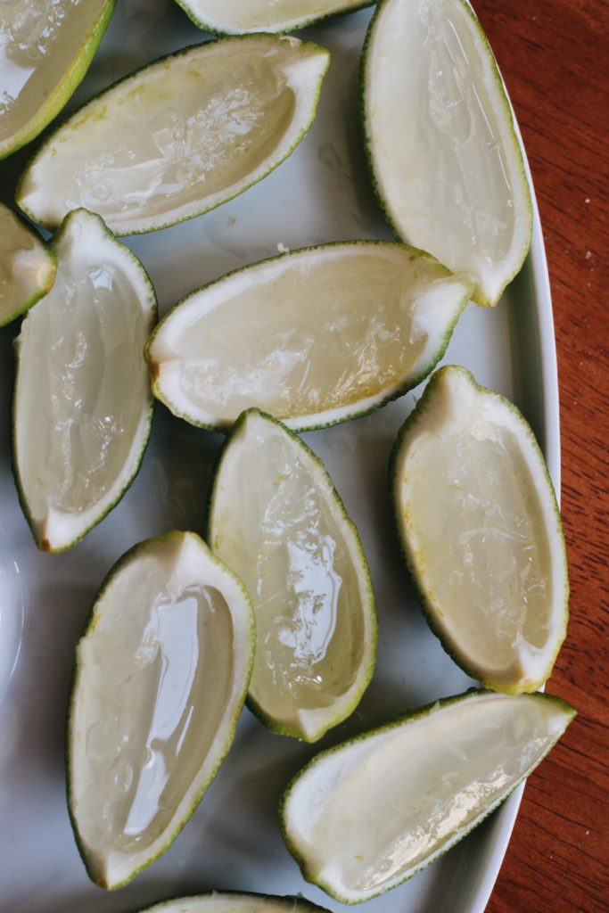 Gin & Tonic Jelly Shots